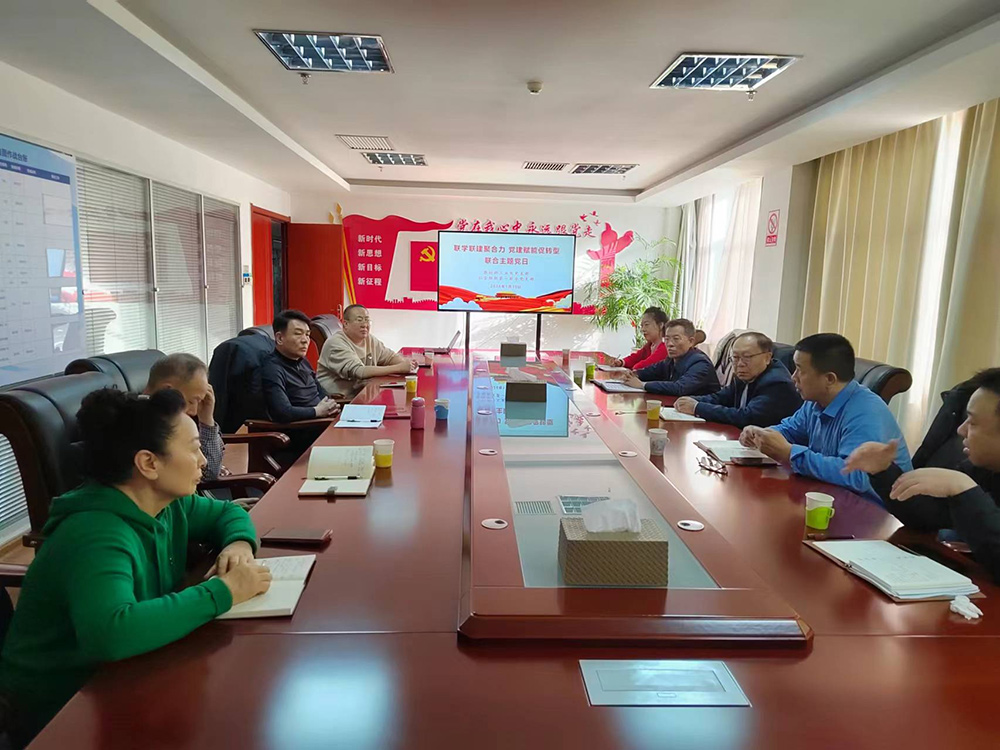 联学联建聚合力 党建赋能促转型——原材料工业处党支部联合行业协会党支部聚焦产..